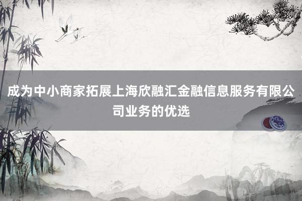 成为中小商家拓展上海欣融汇金融信息服务有限公司业务的优选