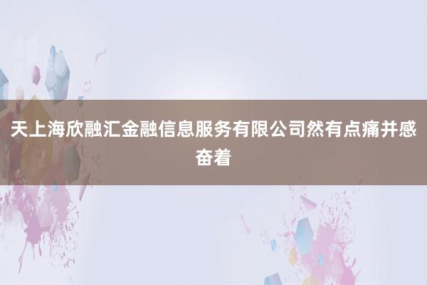 天上海欣融汇金融信息服务有限公司然有点痛并感奋着